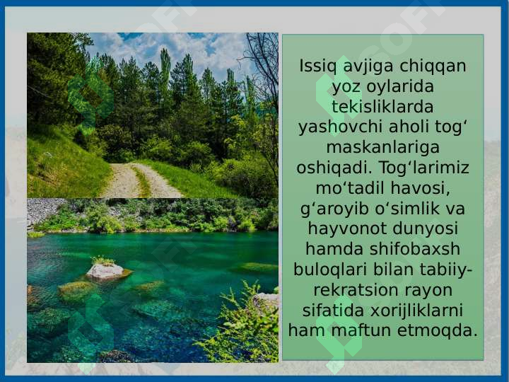 Product slide 6