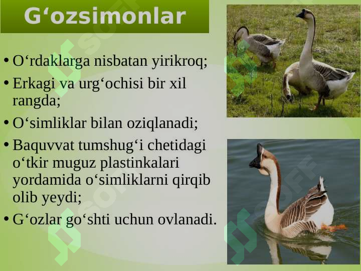 Product slide 5