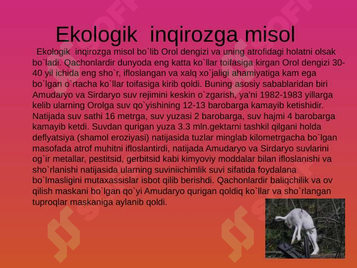 Product slide 5