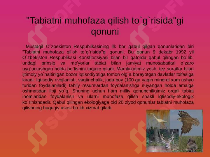 Product slide 7