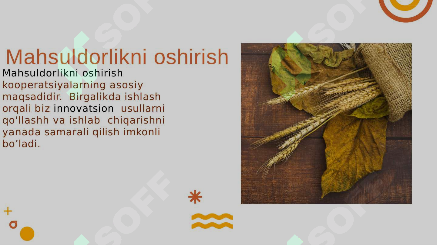 Product slide 8