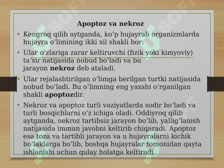 Product slide 6