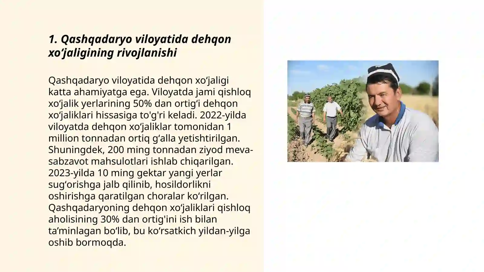 Product slide 3