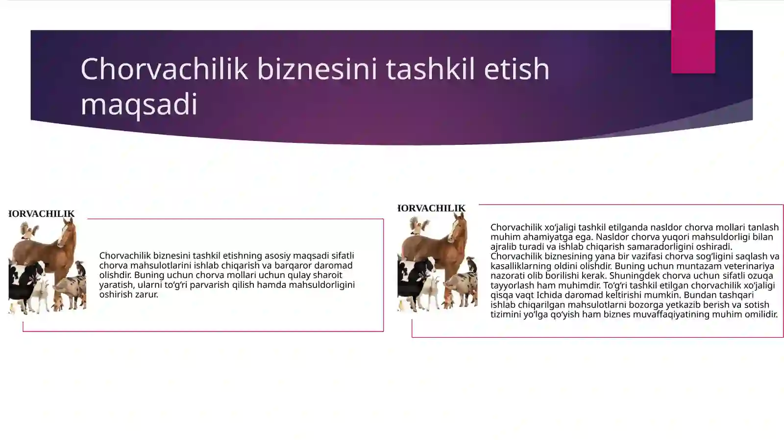Product slide 4