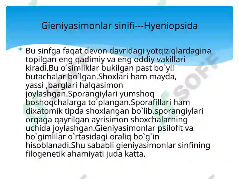 Product slide 6