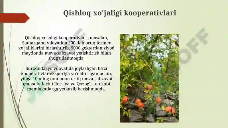 Product slide 7