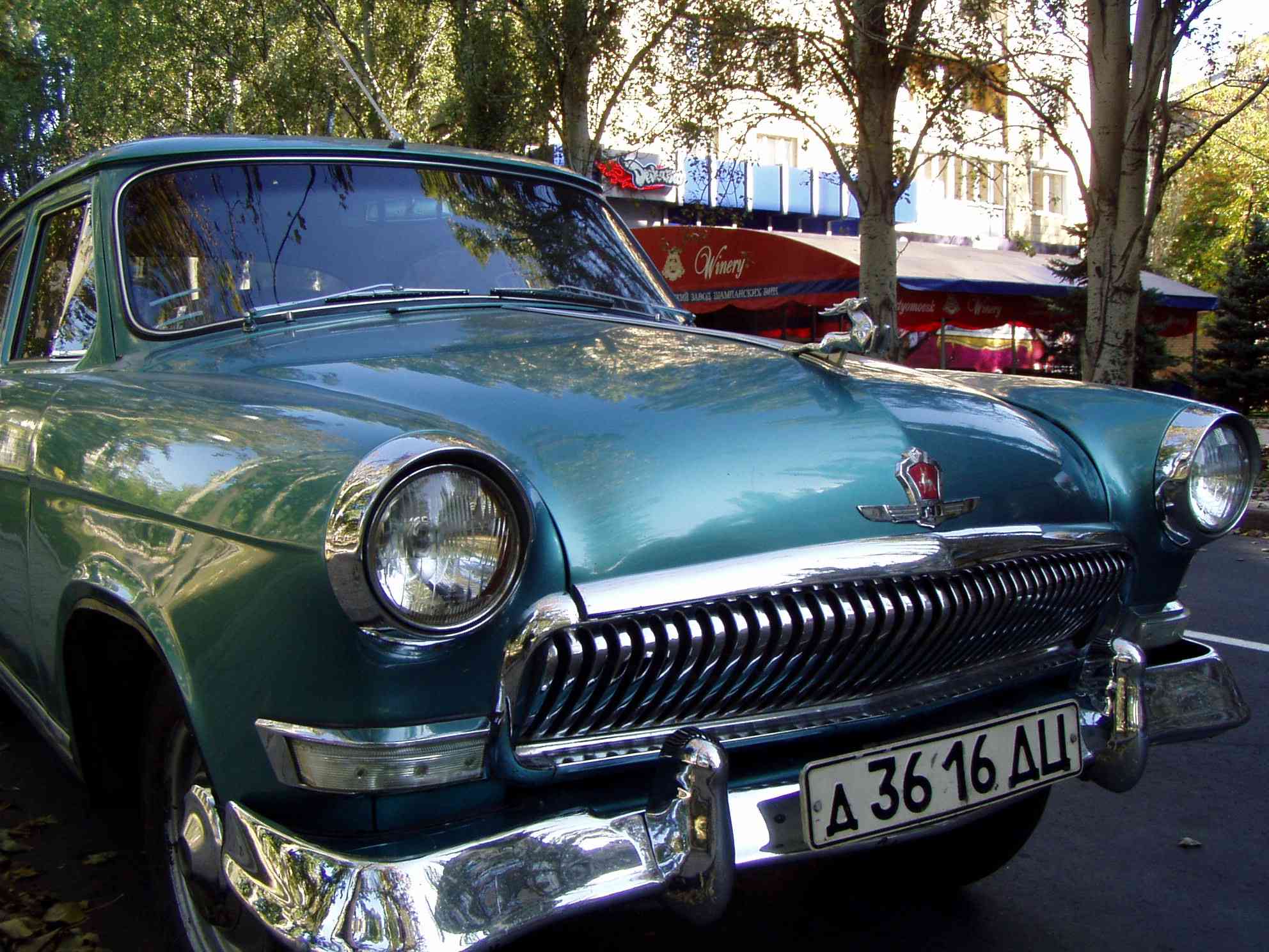 Volga6313 SOTUVCHI